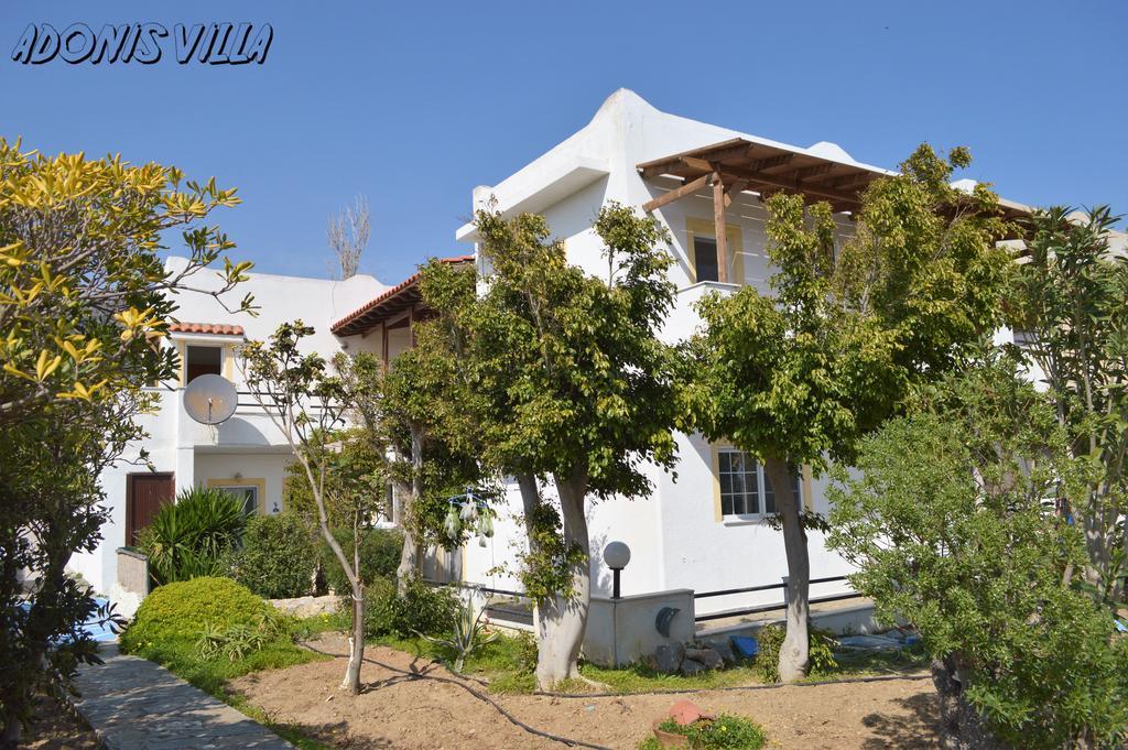 Adonis Villa كوتْسوناري المظهر الخارجي الصورة