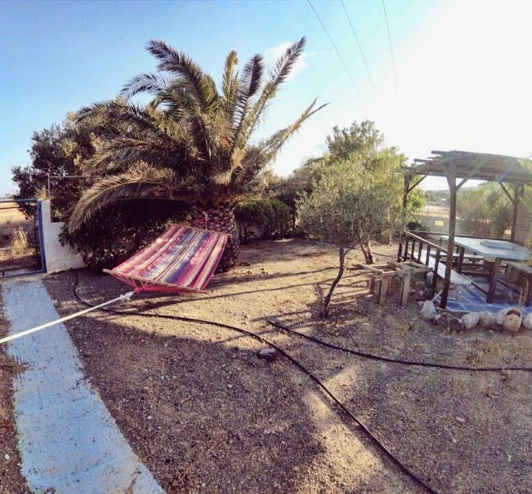 Adonis Villa كوتْسوناري المظهر الخارجي الصورة